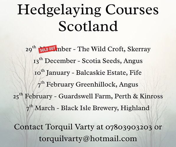 564681127_1336017268229656_6828114019064921554_n