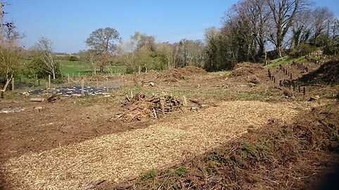 April 2019 - View of clear fell