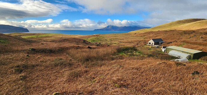 Hazel woodland in foreground