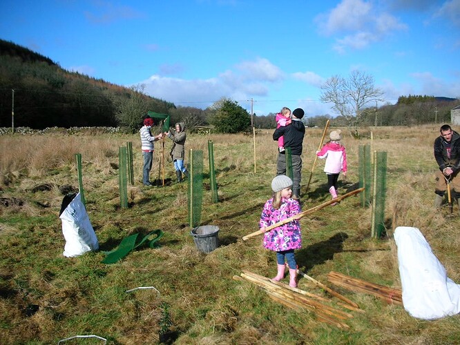 Family planting day, February 2011
