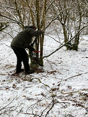 Paul demonstrating use of handsaw, in snow