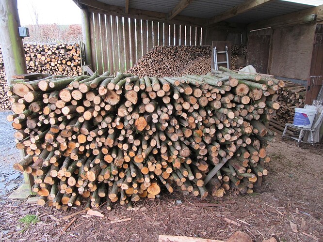 The woodshed, March 2025