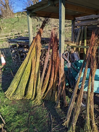 March 2025 - Duns Willow crop