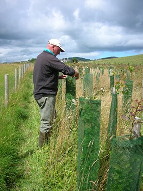 Inspection and maintenance, August 2013
